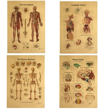  Žmogaus Anatomija Kelio sąnarį, Pėda Plakatai Stuburo Diagramos Spaudinių Drobės Tapybos Sienos Meno Kambaryje Namų Puošybai 42x30cm
